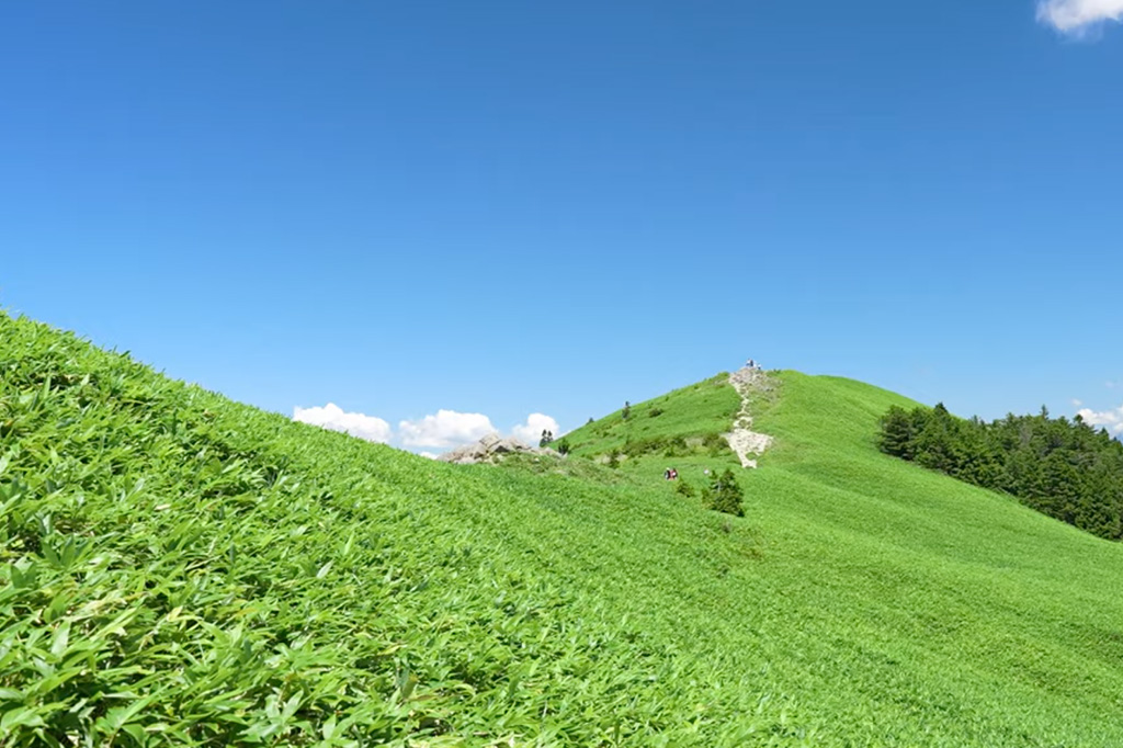 【圏外？】長野県阿智村の富士見台高原でLINEMOの電波があるのか調査してきた fujimidai-kougen-002